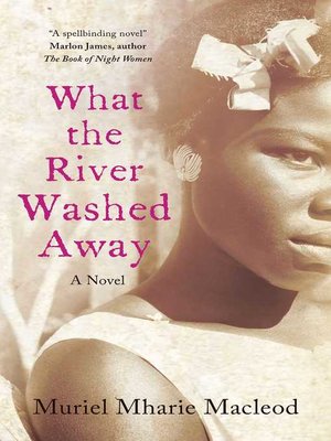 cover image of What the River Washed Away